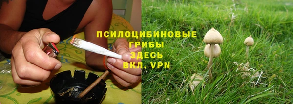 дурь Вуктыл
